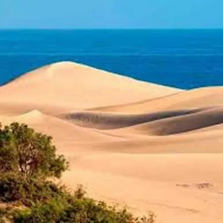 Duplex In Meloneras Near